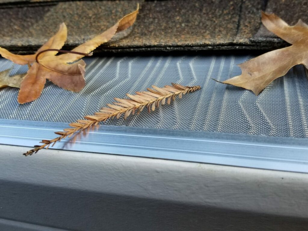 Gutter Cleaning