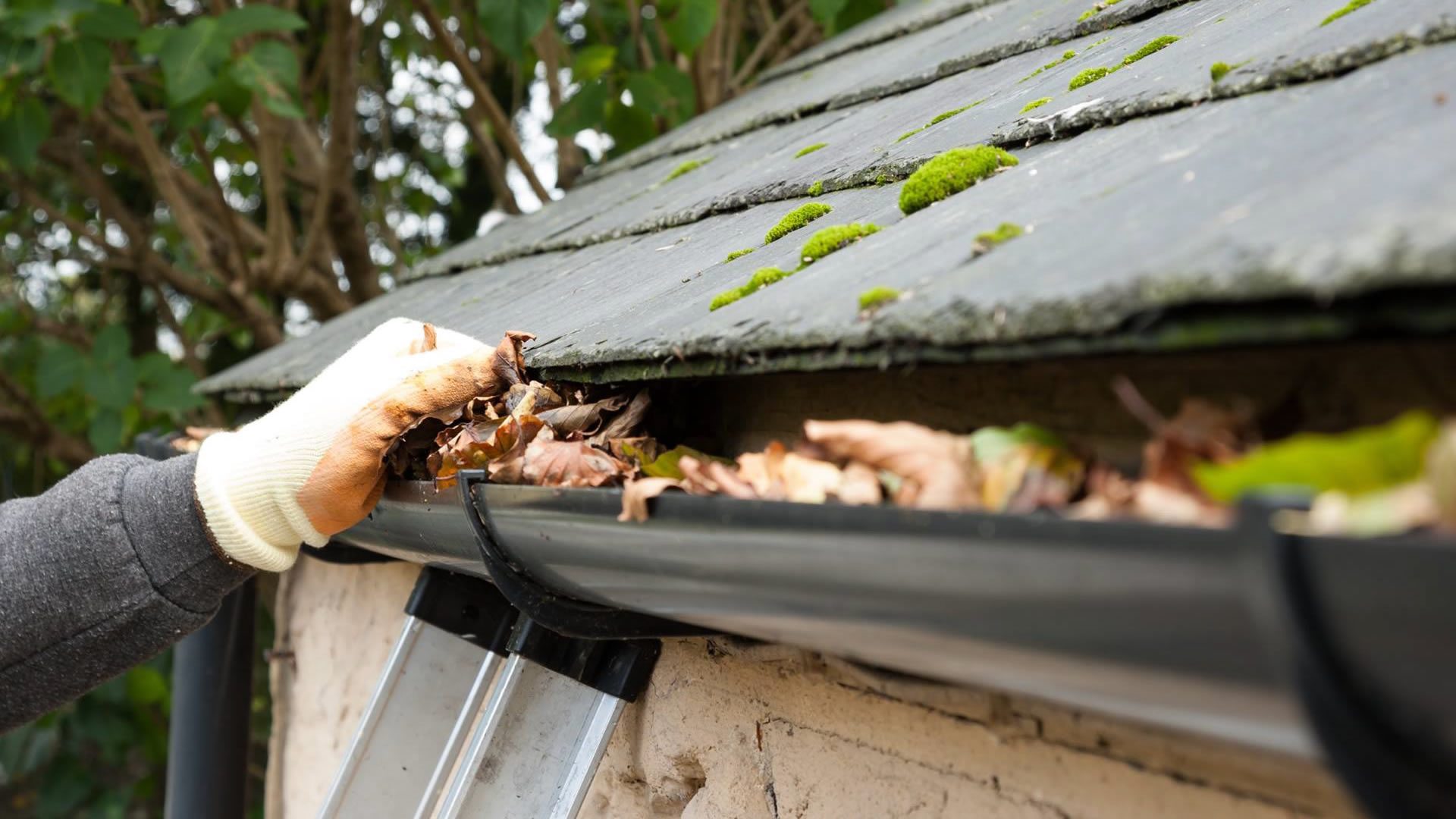 Gutter Cleaning
