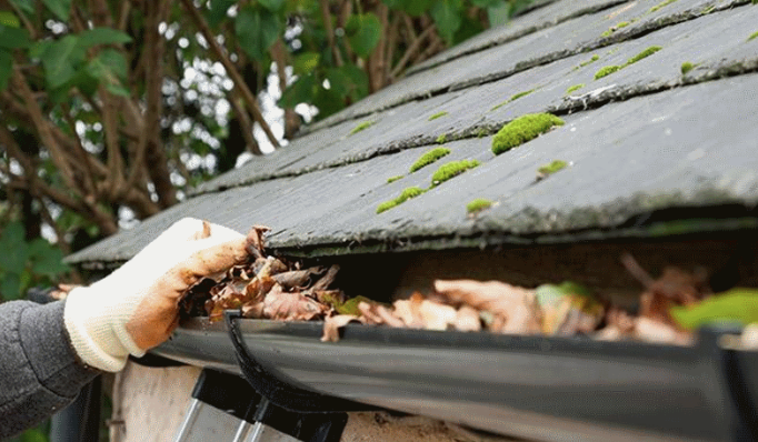 Gutter Cleaning