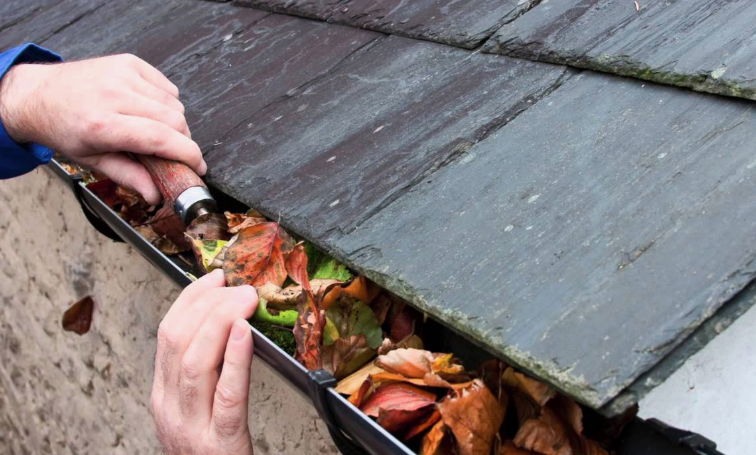 Gutter Services