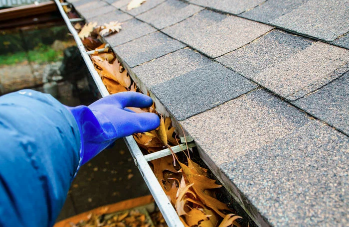 Gutter Services