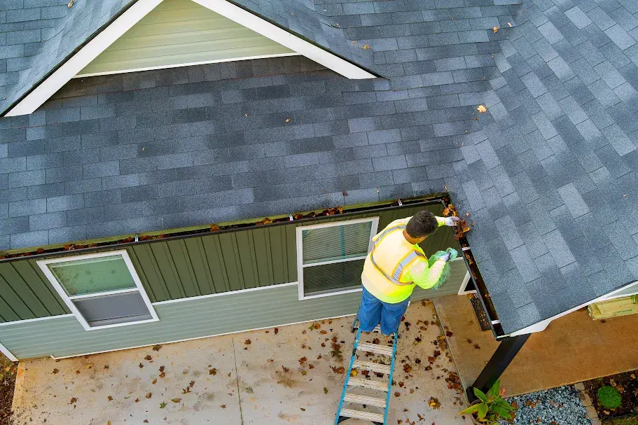 Gutter Cleaning